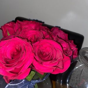 Meet your Posher, Perry